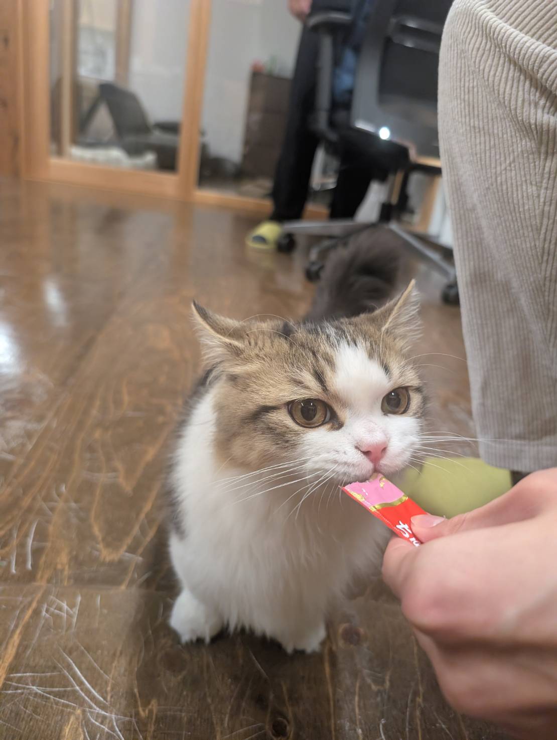 ラムネのチュールタイムな一日