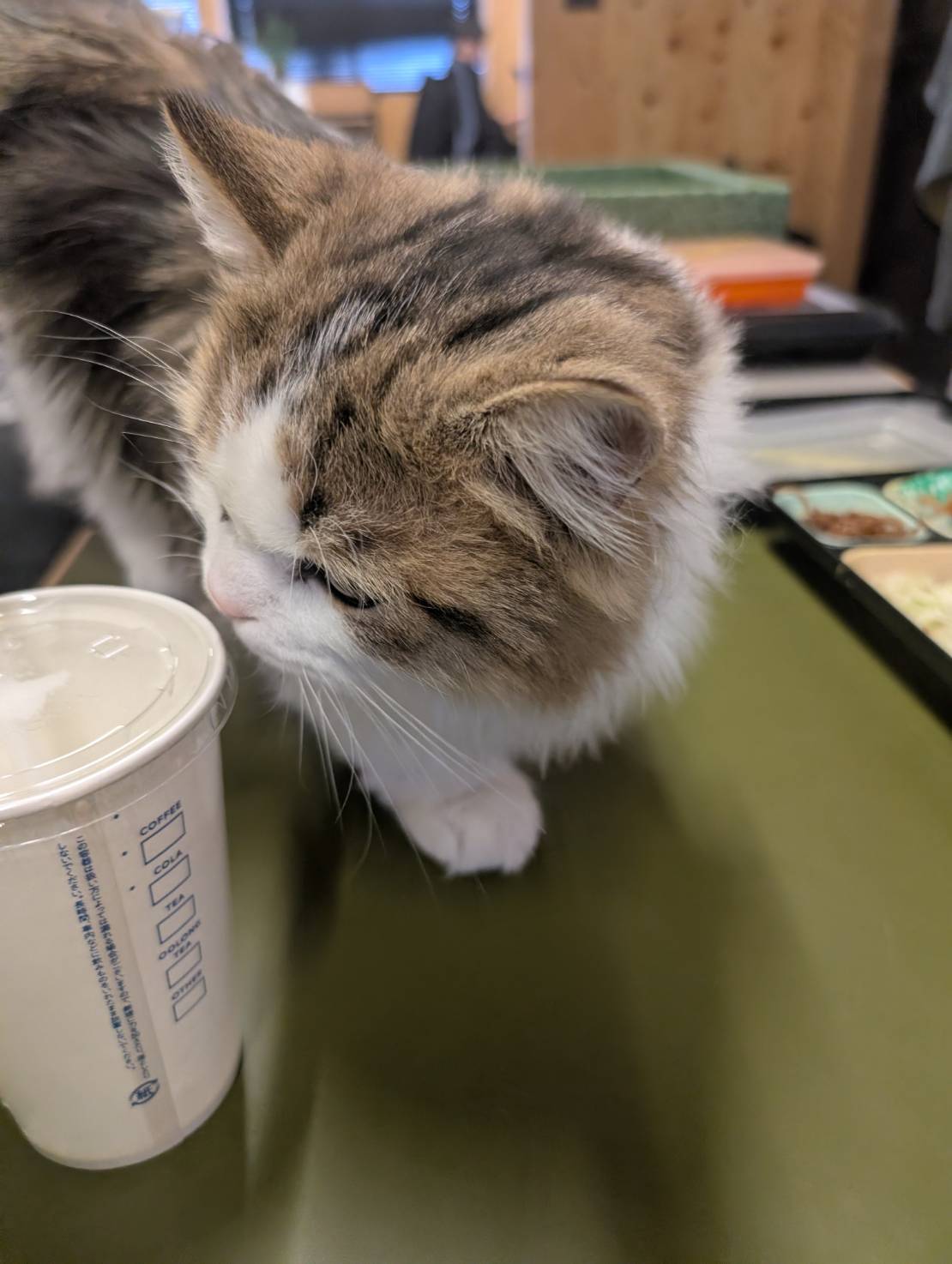 ラムネのカフェタイム