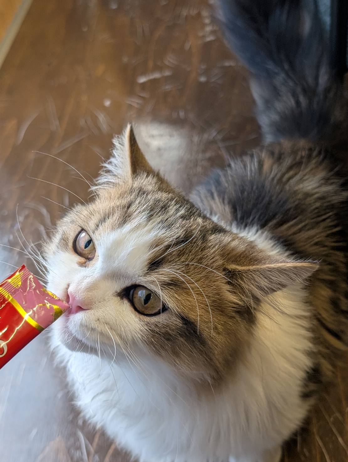 ラムネのチュールタイムな一日