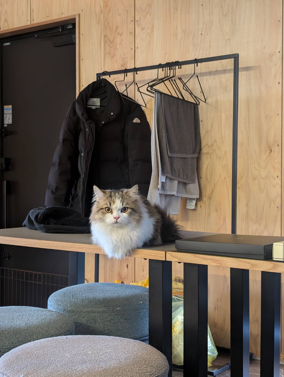 ラムネのオフィス探検日記