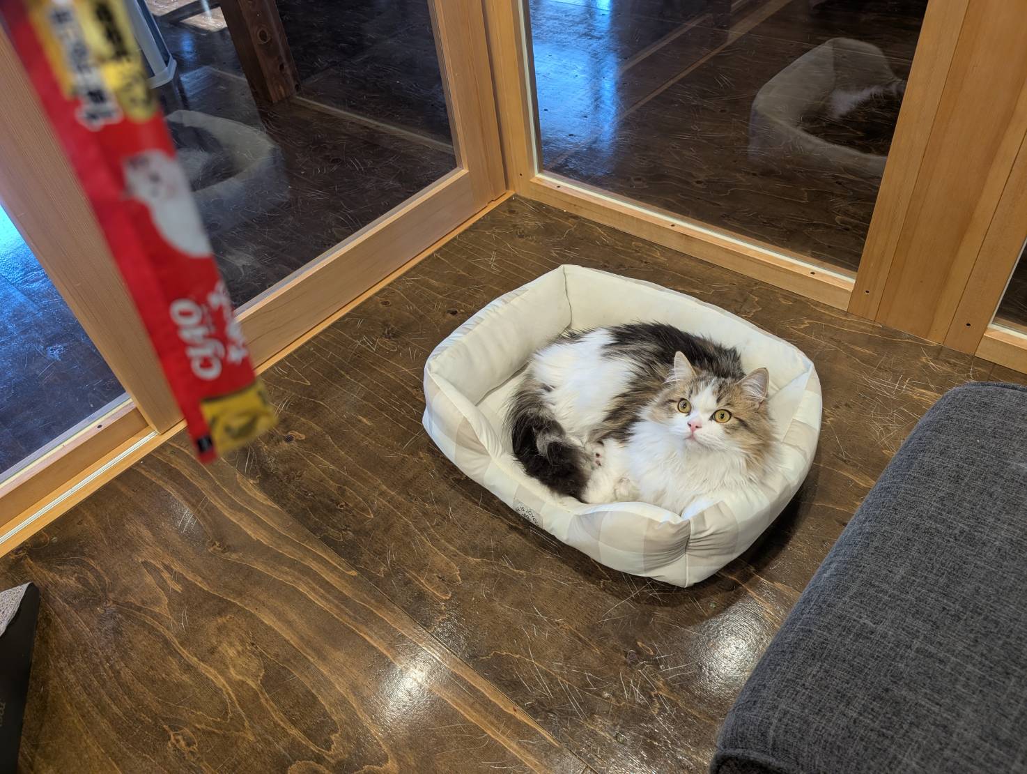 ラムネのおやつタイム