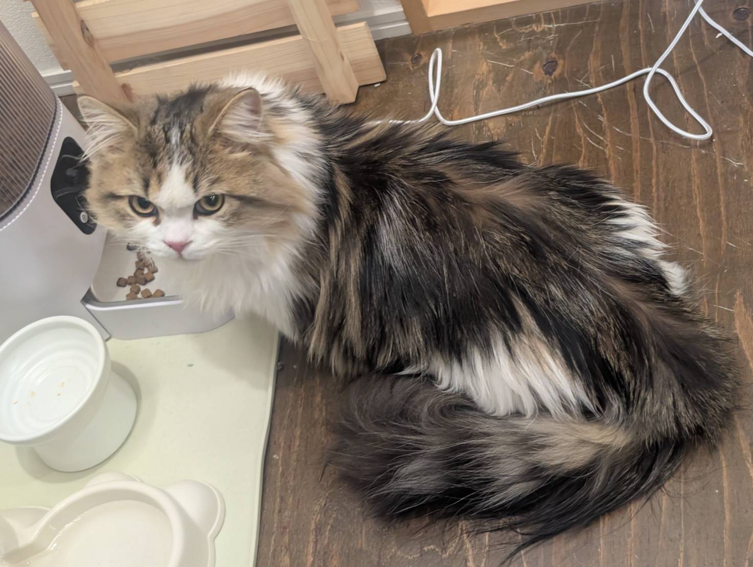 ラムネのまったりおやつタイム