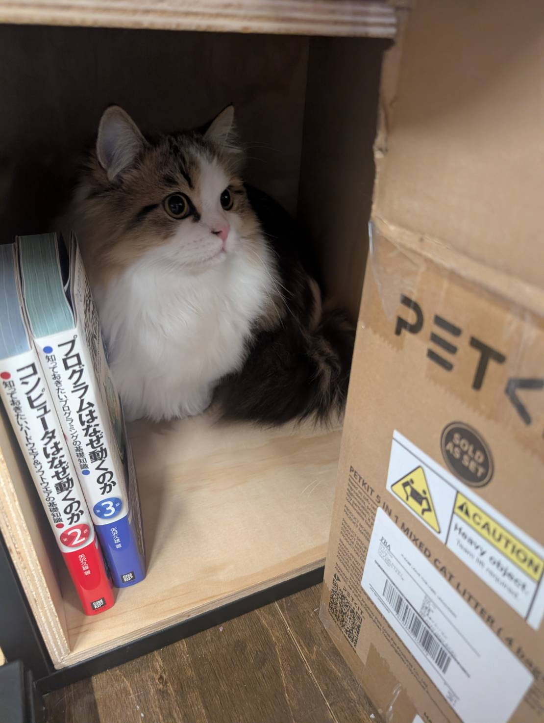 ラムネの探検日和