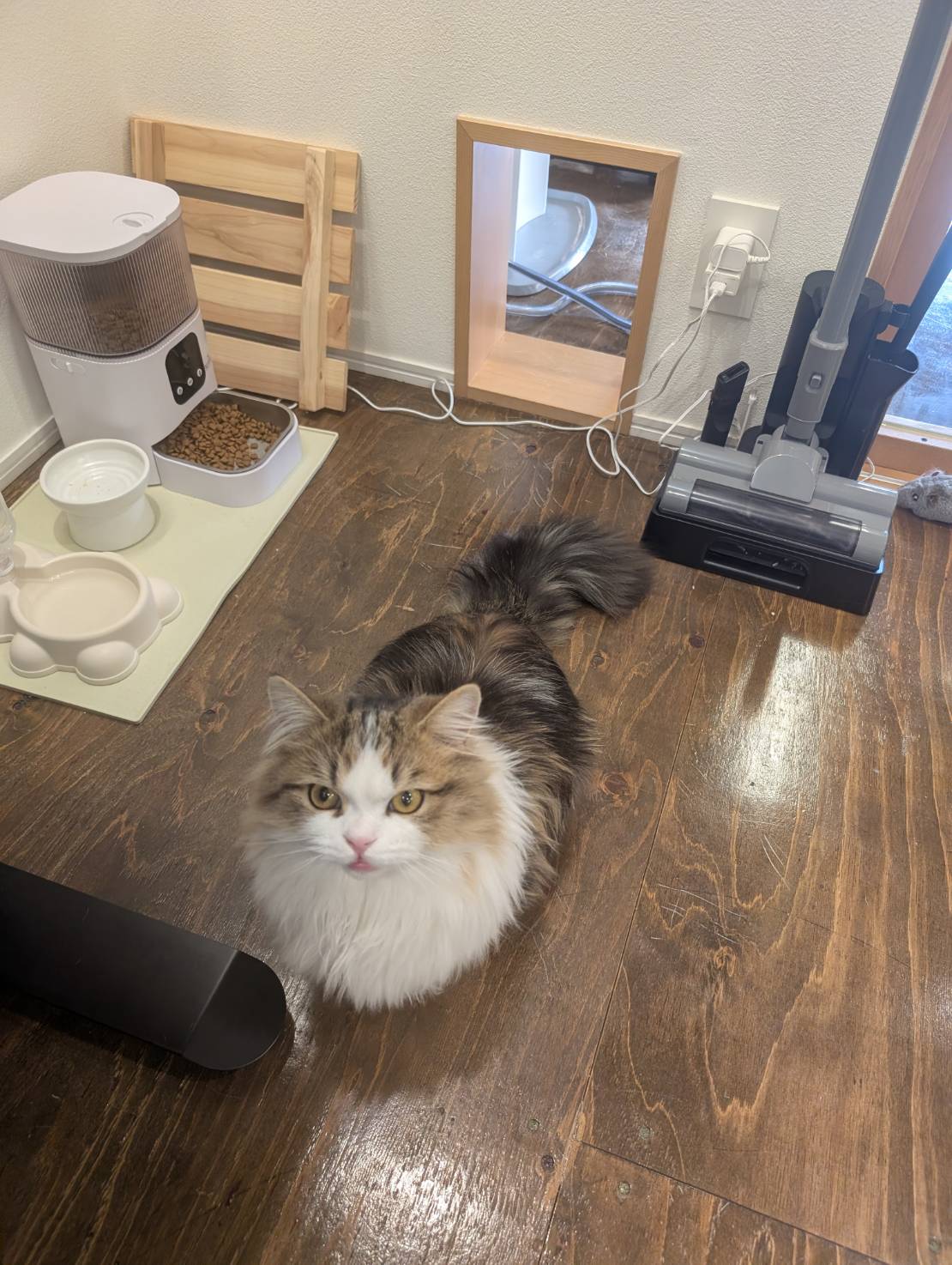 ラムネのくつろぎタイム