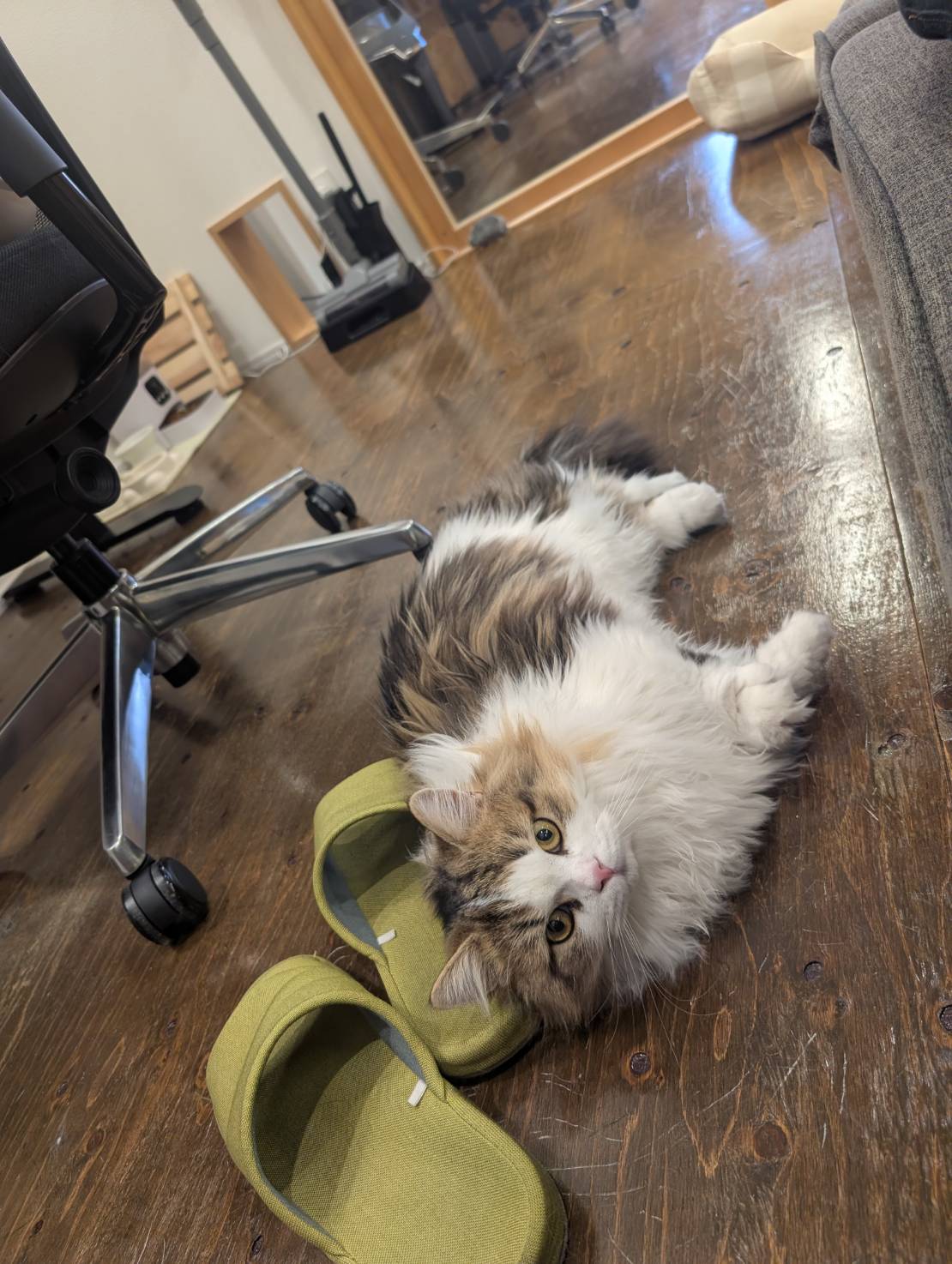 ラムネのリラックスタイム