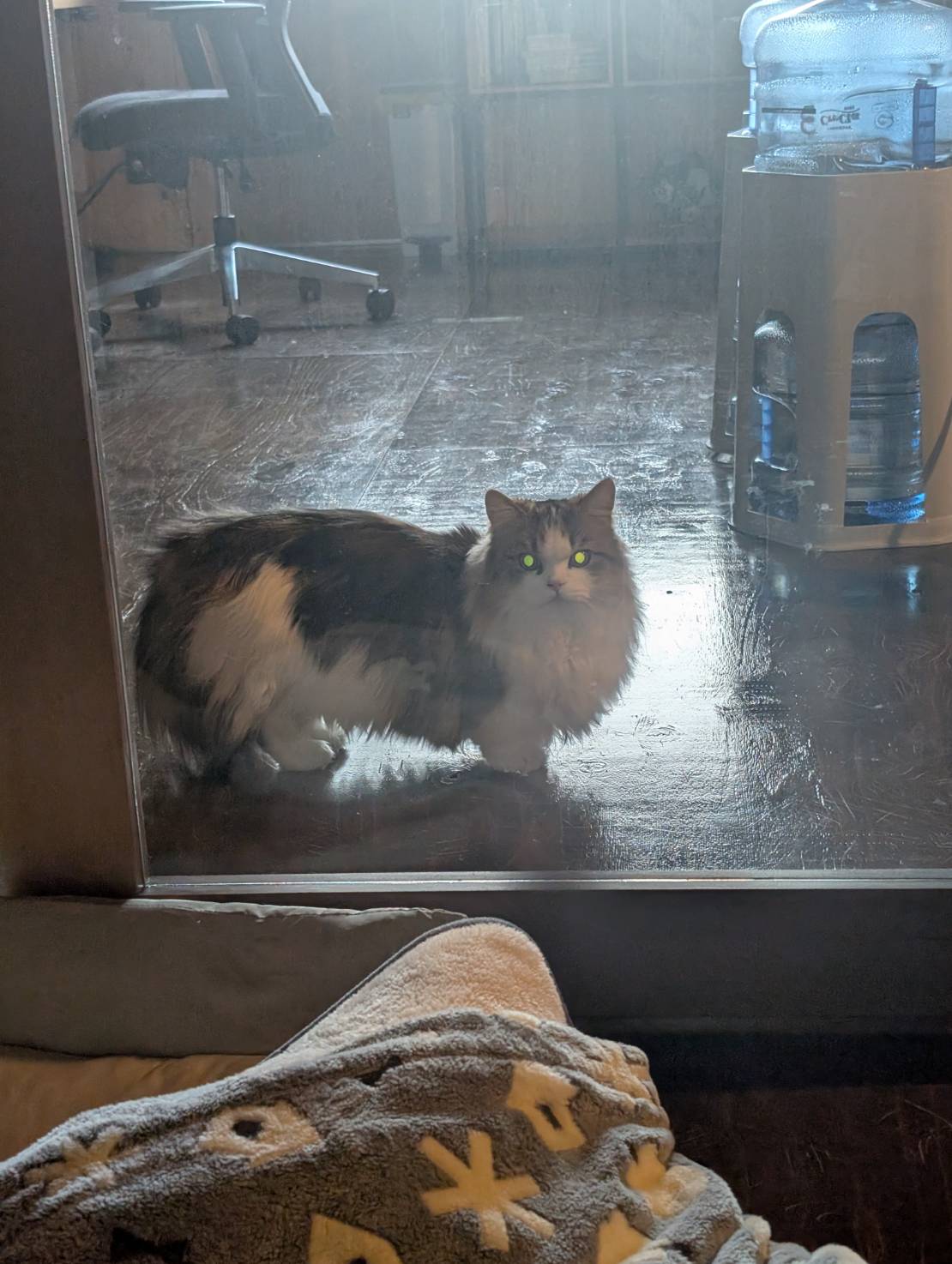 ラムネののんびり休日