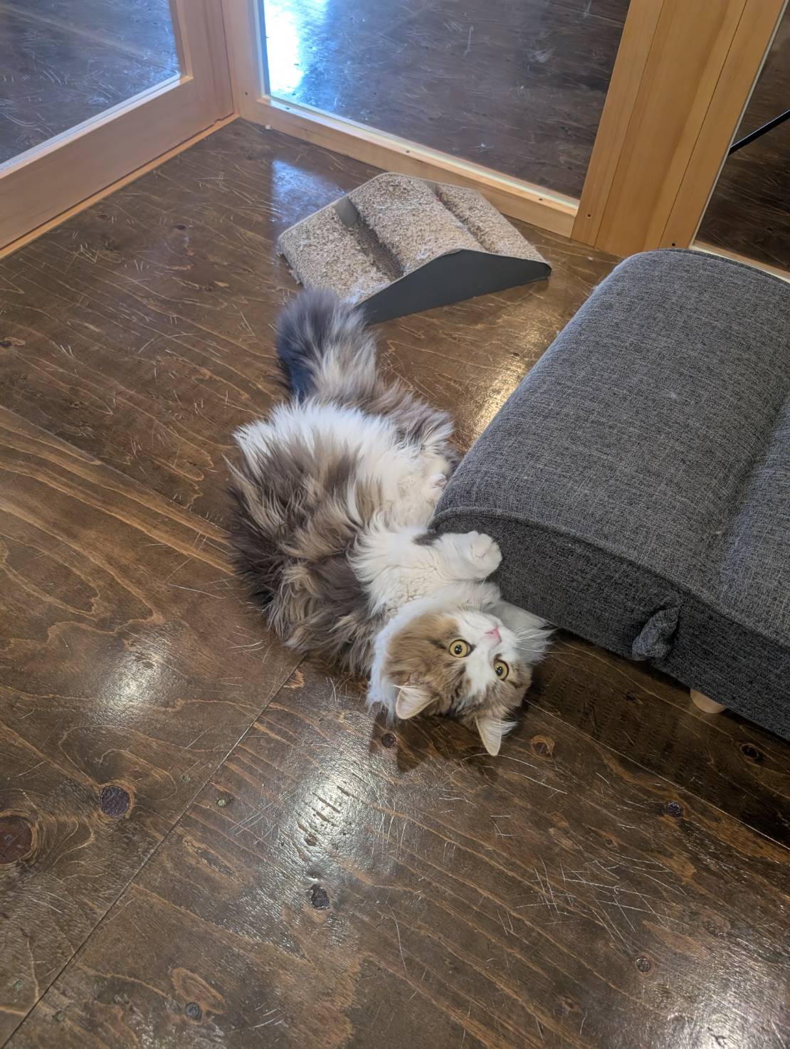 ラムネののんびりリラックスな休日