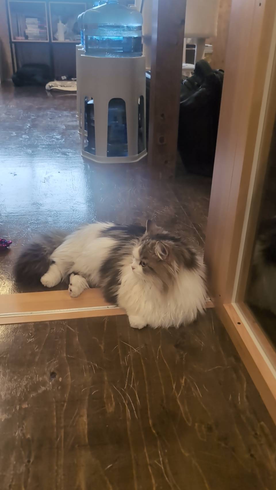 ラムネの新しい発見な一日