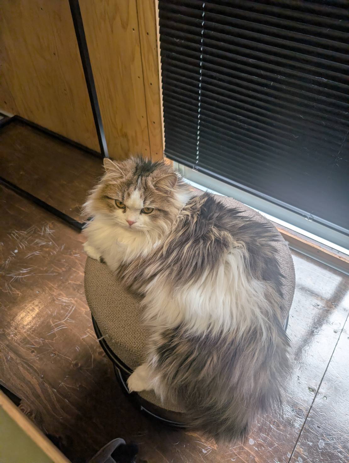 ラムネのオフィス探検日記