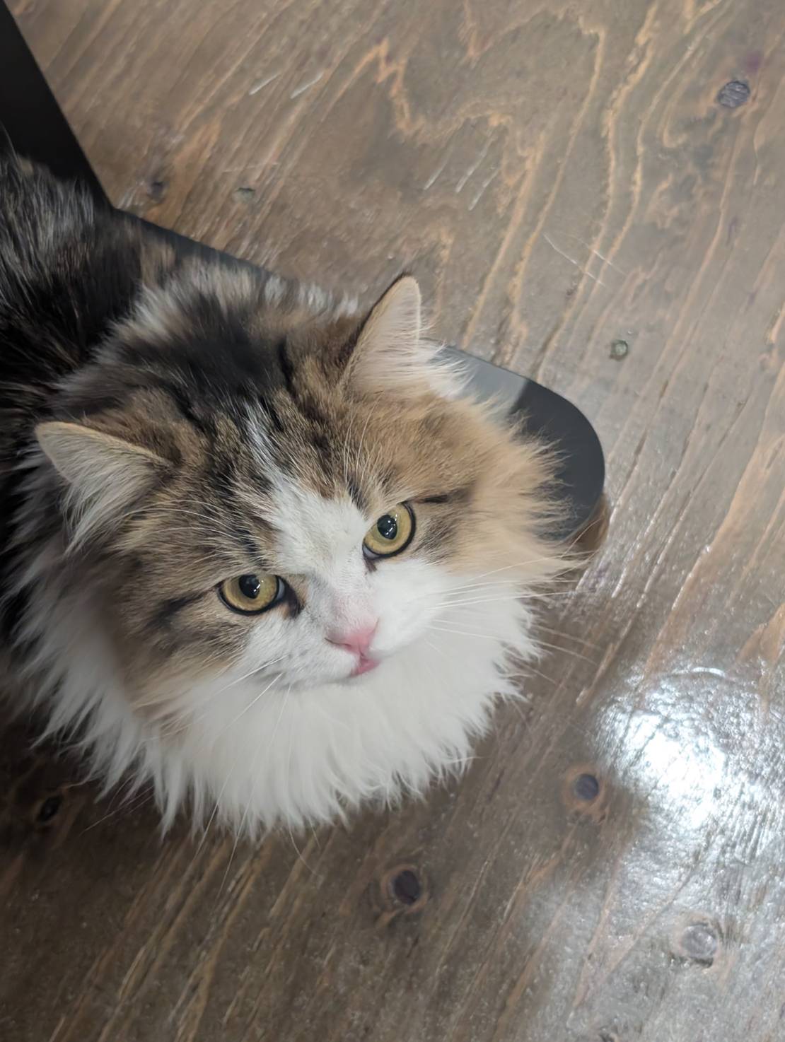 ラムネの探検な一日