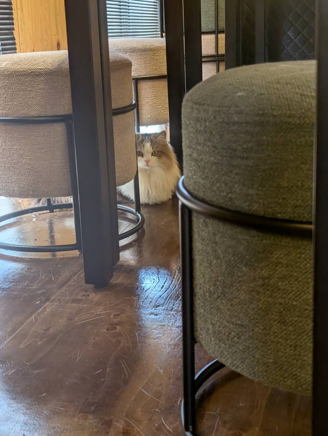 ラムネのオフィスでのひっそりタイム