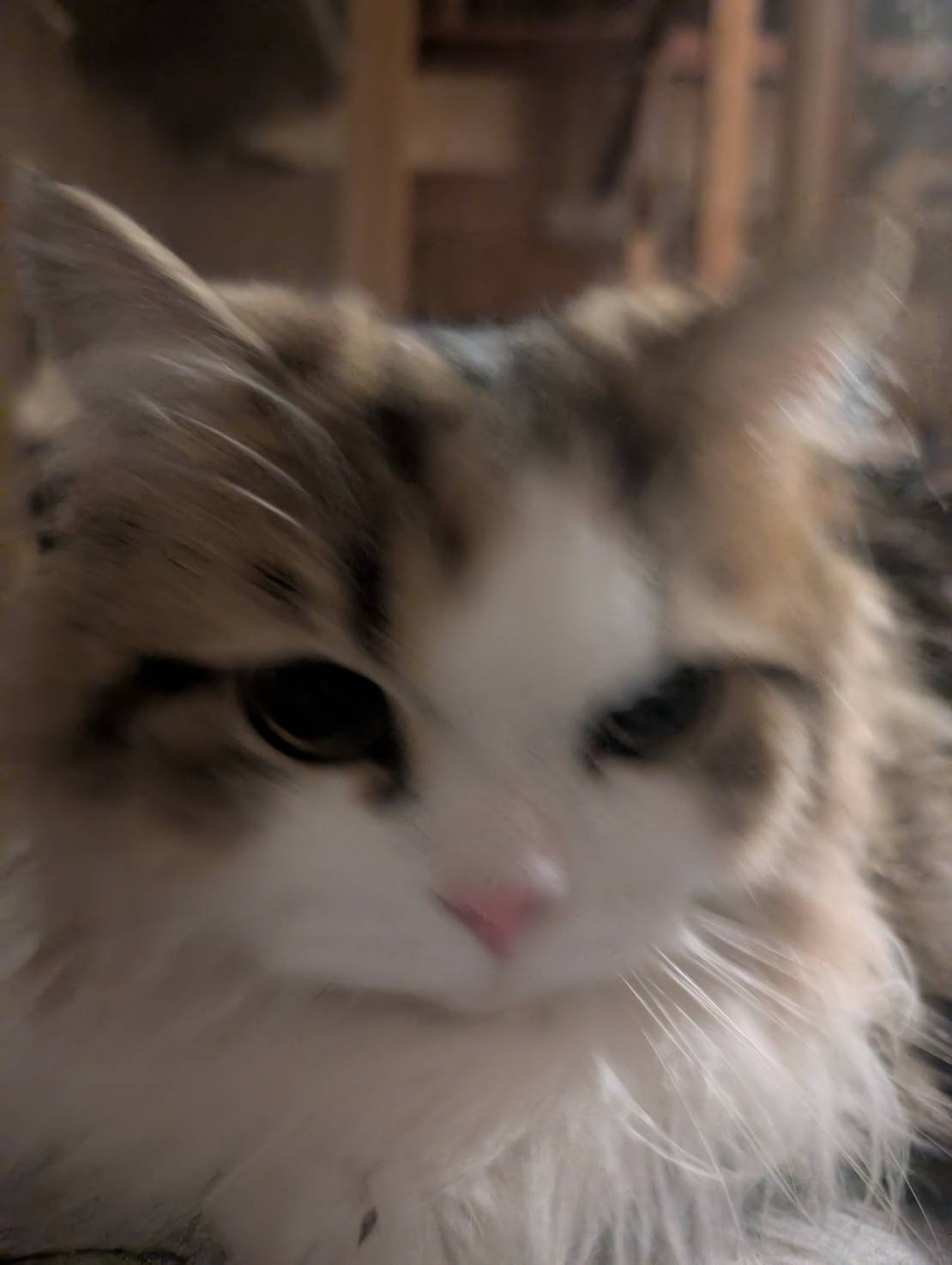 今日のぼく