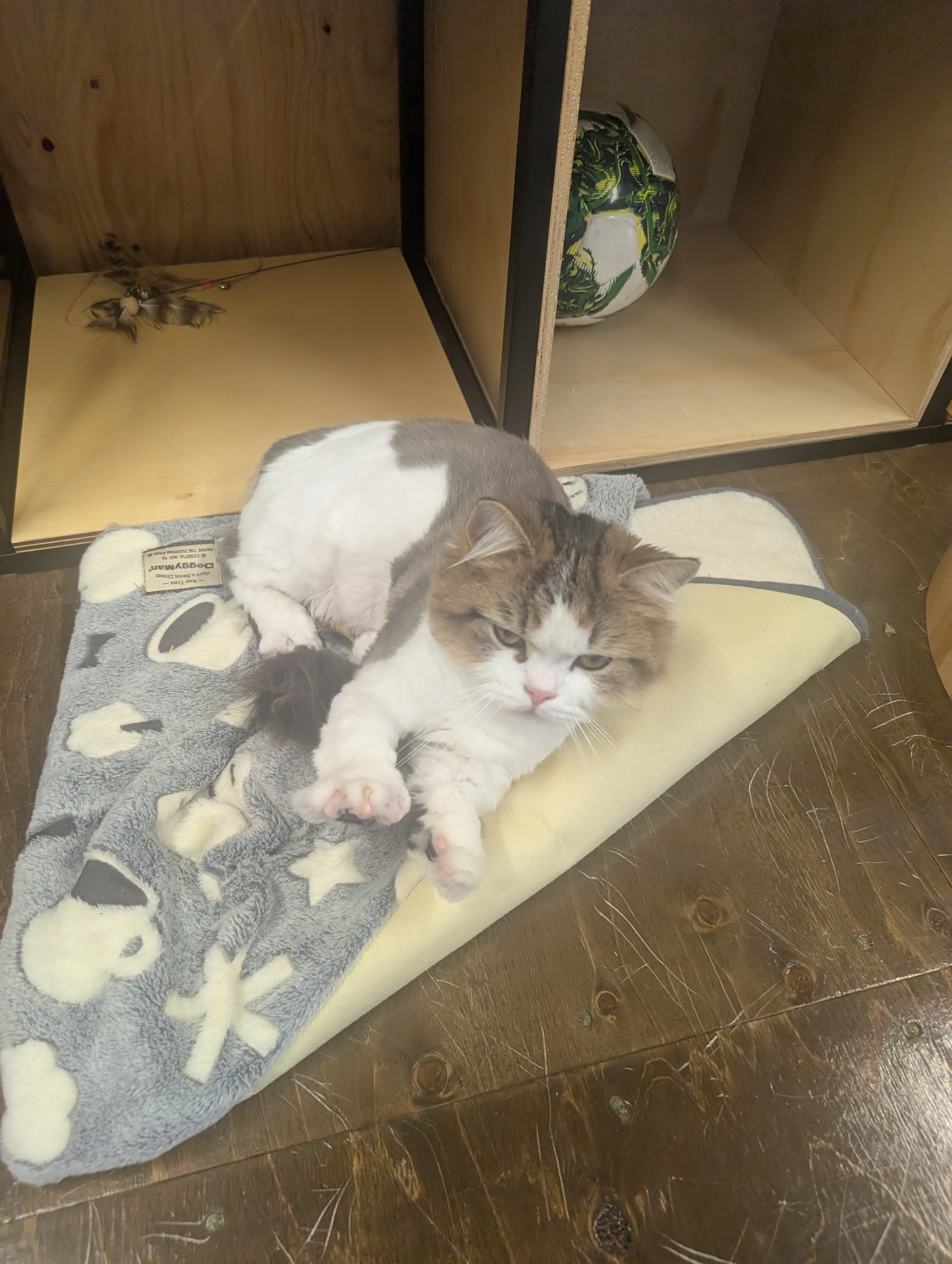 ふわふわマットでひと休み
